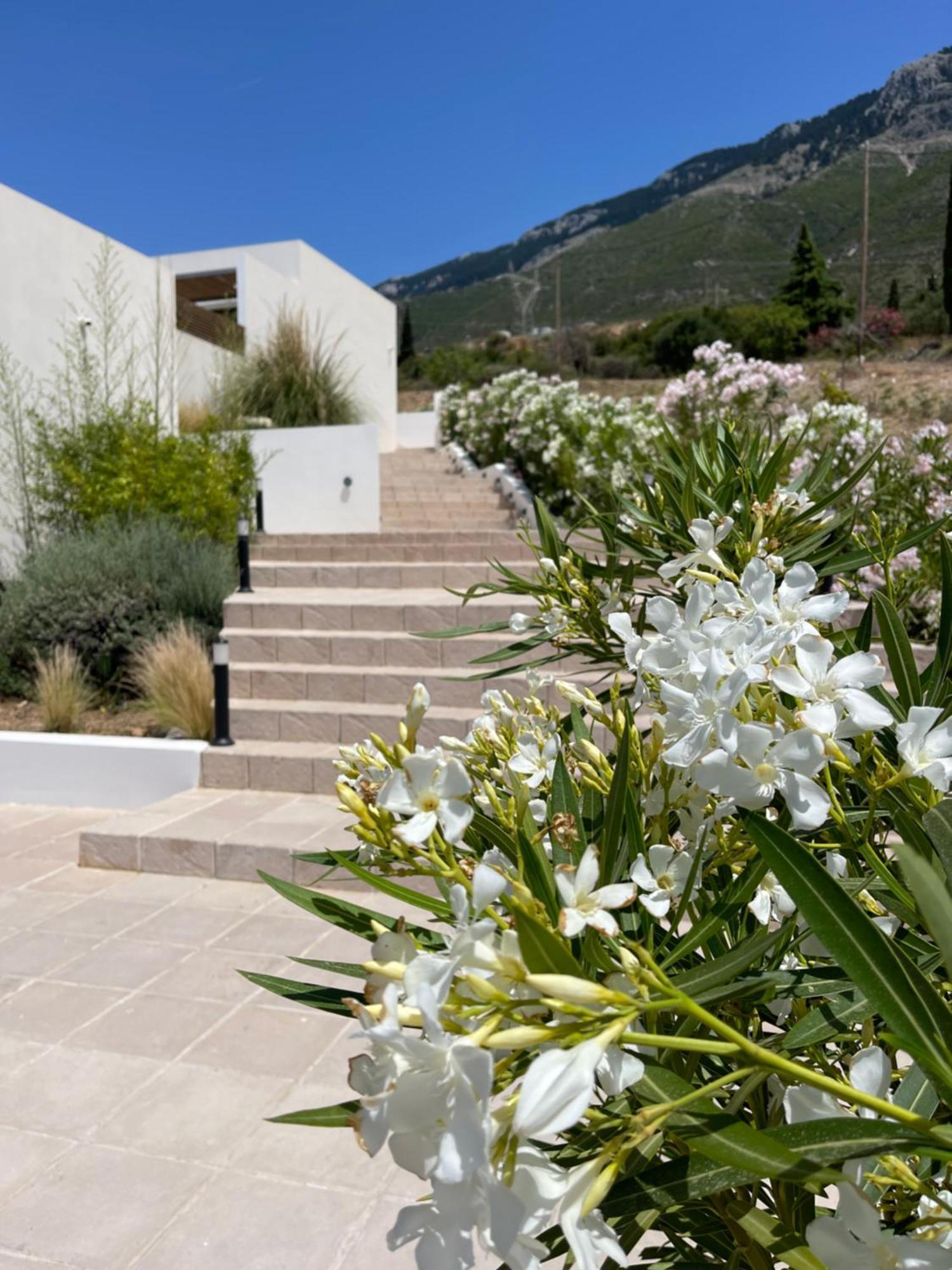 Kefalonian Escape Suites Valeriános المظهر الخارجي الصورة