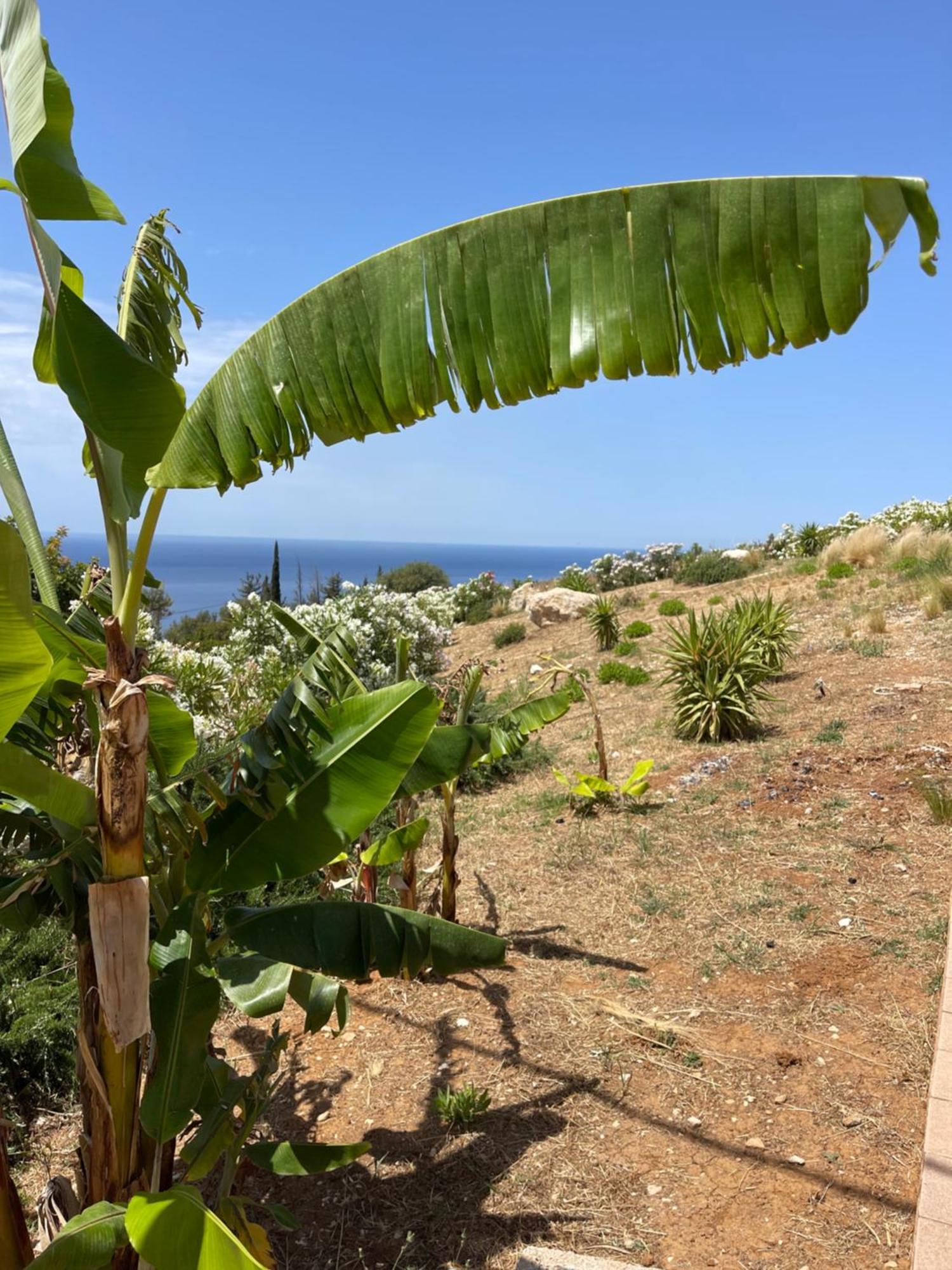 Kefalonian Escape Suites Valeriános المظهر الخارجي الصورة
