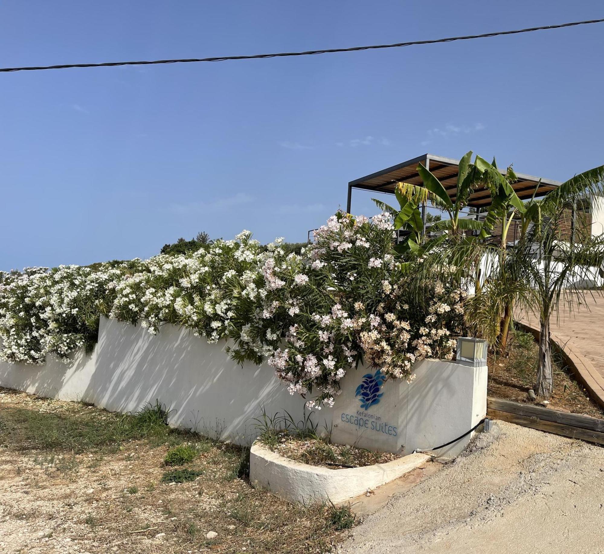 Kefalonian Escape Suites Valeriános المظهر الخارجي الصورة